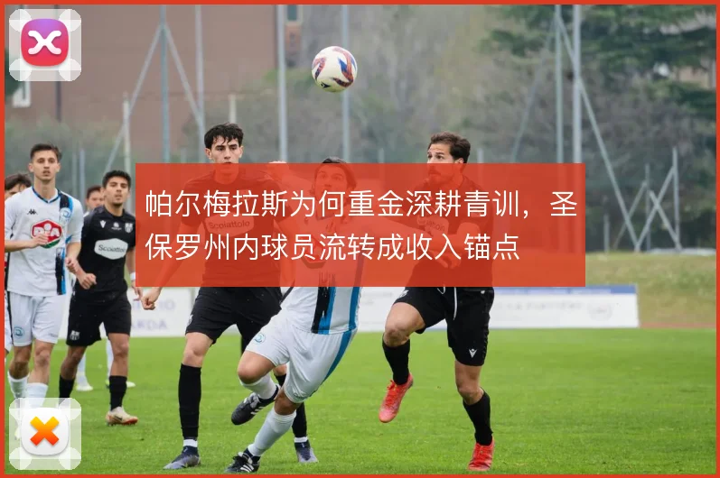 帕尔梅拉斯为何重金深耕青训，圣保罗州内球员流转成收入锚点