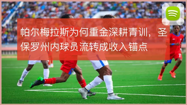 帕尔梅拉斯为何重金深耕青训,圣保罗州内球员流转成收入锚点