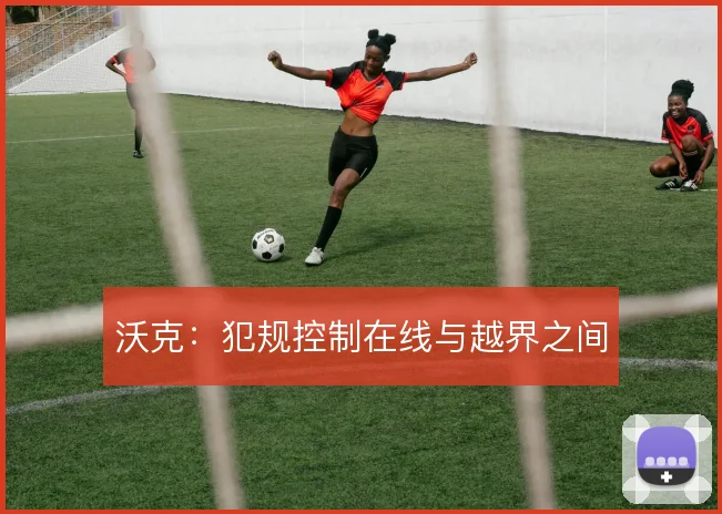 沃克：犯规控制在线与越界之间